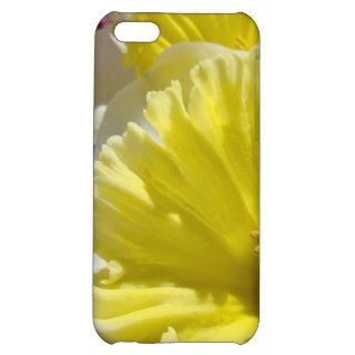 Custom iPhone 4 cases Yellow Daffodil Flowers