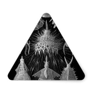 Plankton Shells in Black and White (Cyrtoidea) Triangle Sticker