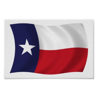 Texas Flag Poster Print