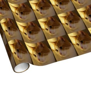 Cat Lovers Gift Wrapping Paper
