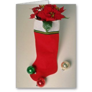 White Stuffed stocking flowers Cards