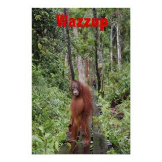 Funny Wazzup with Krista Orangutan Poster