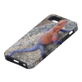 Lizard iPhone 5/5S Case