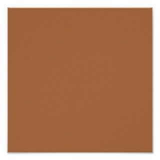 Plain Brown Background. Poster