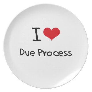 I Love Due Process Party Plate