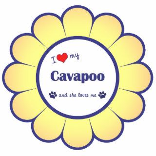 I Love My Cavapoo (Female Dog) Photo Cut Out