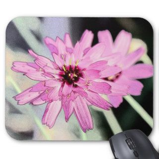 Pink daisy flower. Floral photo art. Mousepad