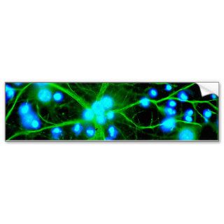 Astrocyte Are Star Shaped Glial Cells in the Brain Bumper Stickers