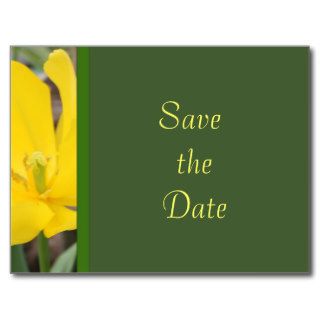 fresh yellow tulip flower save the date postcards