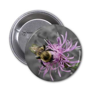 Bumble Bee Pins