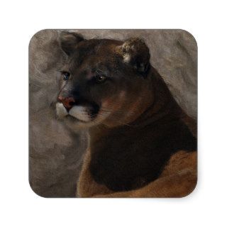 Cougar Mountain Lion Big Cat Art Design Stickers