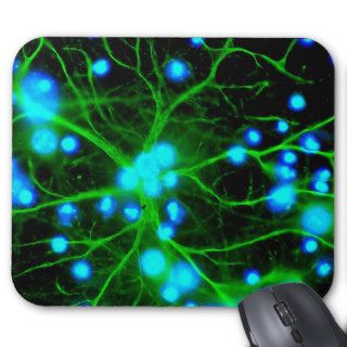 Astrocyte Are Star Shaped Glial Cells in the Brain Mousepads