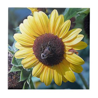 Sunflower Honey Bee Tile