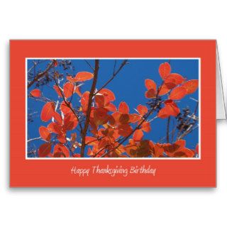 Thanksgiving Birthday    Autumn Leaves Greeting Card
