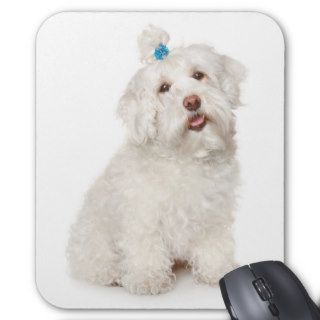 White Maltese Puppy Dog Mouse Pad
