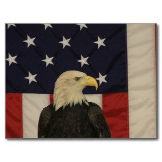 American Flag and Bald Eagle Post Card