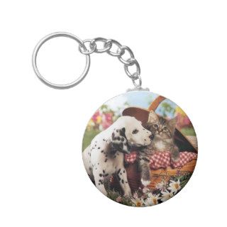 Dogs and cats do get along key chain