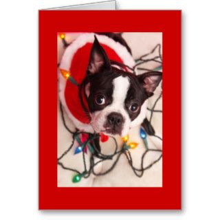 Boston Terrier Christmas Lights Santa Greeting Car Greeting Card