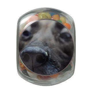 A Dogs Sense of Smell Glass Candy Jars