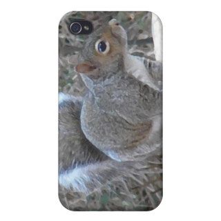 XX  Squirrel in a Birdbath Photography iPhone 4 Cover