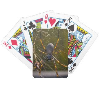 Golden Orb Weaver Spider Bicycle Poker Cards