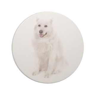 WHITE DOG DIGITAL REALISM PETS HAPPY LOGO CAUSES A DRINK COASTER