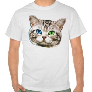shwag cat sharkcat tee shirt