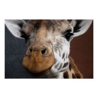 Cute Giraffe Print