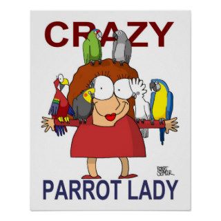Crazy Parrot Lady Poster