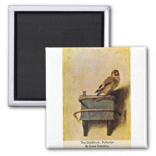 The Goldfinch., Puttertje  By Carel Fabritius Magnets