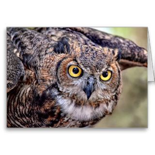 Great Horned Owl Taking Flight Cards