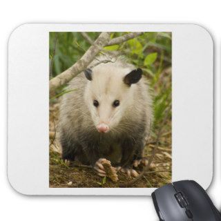 Possums are Pretty   Opossum Didelphimorphia Mouse Pads