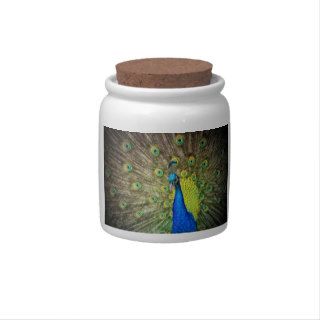 Peacock Color Beauty Candy Jar