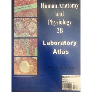 Human Anatomy and Physiology 2b Laboratory Atlas Ph.D. Charles Sternburg 9781936044399 Books