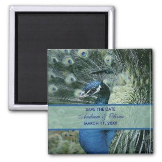 Peacock Wedding Save The Date Magnets