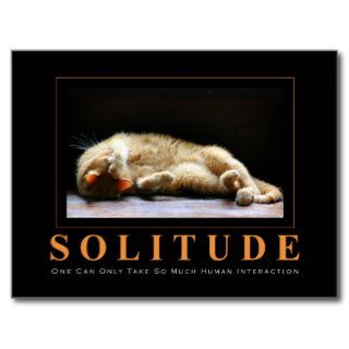 SOLITUDE Cat Photography Anti Motivational Postcard