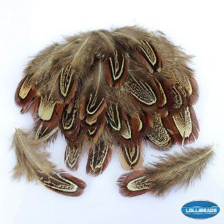 50 Pcs Natural Ringneck Pheasant feather 2 3 inches