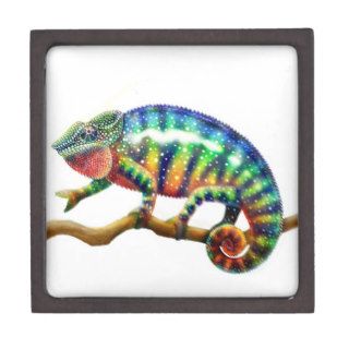 The Panther Chameleon Lizard Premium Gift Box