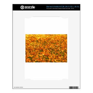 Red Autumn Leaves on the Grass NOOK Decal