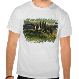 Italy. A pastoral Tuscany villa in Val d'Orcia. Tee Shirts