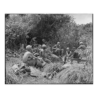 Photo Vietnam 501 Infantry Regiment 101st Airborne   Photographs