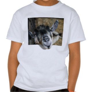 Nosy Goat Looking Out T shirts