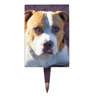 Pitbull dog rectangle cake picks