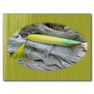 AJS Popper "Green Greenie" Saltwater Fishing Lure Post Card
