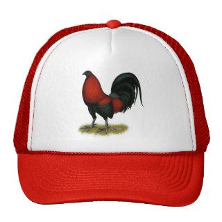 American Game BB Black Red Rooster Hat