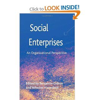 Social Enterprises An Organizational Perspective Benjamin Gidron, Yeheskel Hasenfeld 9780230358799 Books
