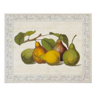 Vintage French Pears Country Kitchen Decor Posters