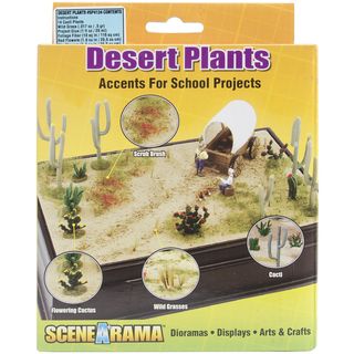 Desert Plants Kit Clay & Modeling