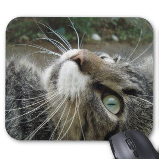 Grey Maine Coon Cat Mousepad