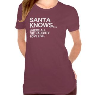 SANTA KNOWS WHERE ALL THE NAUGHTY BOYS LIVE T SHIRTS